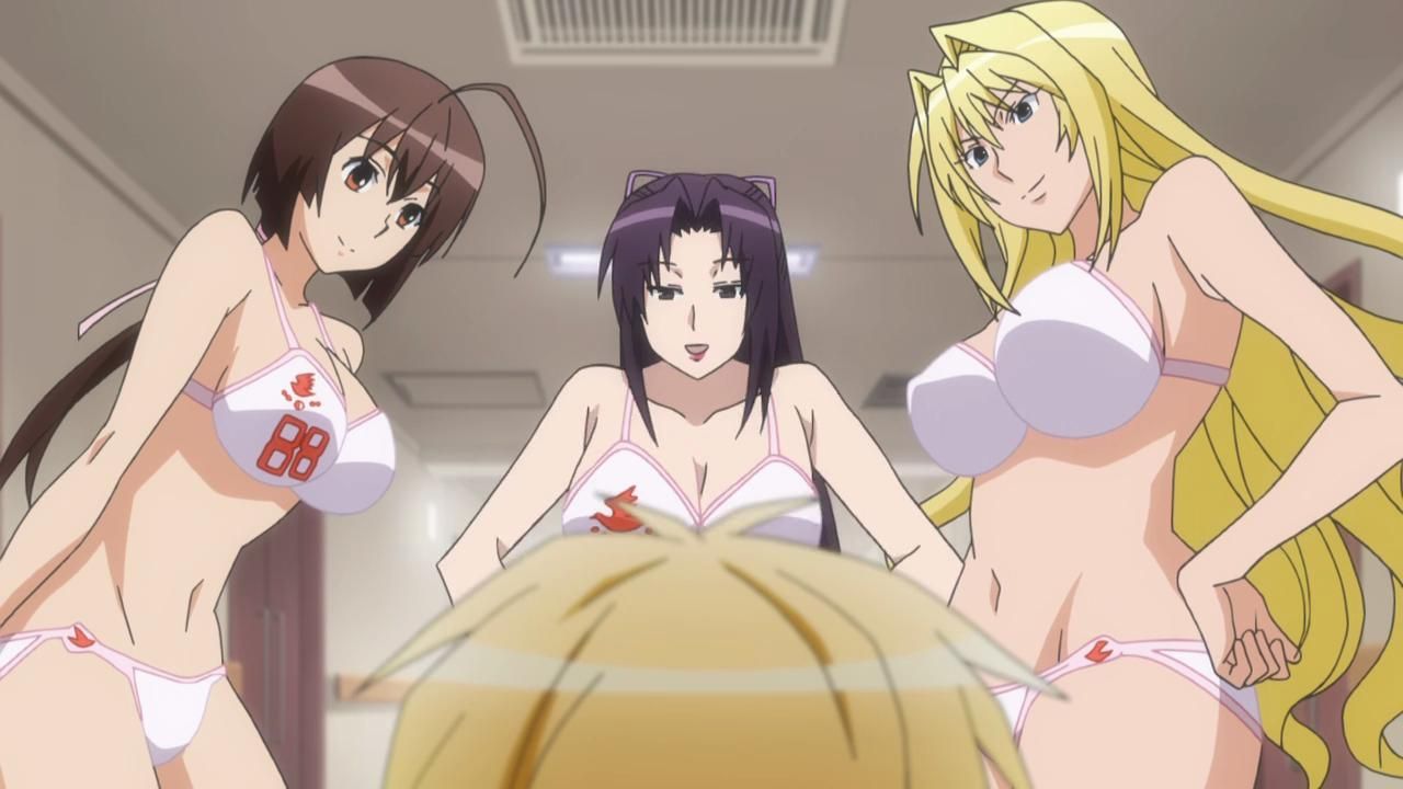 Sekirei’s on that same kind of weird DVD release schedule that Working is o...